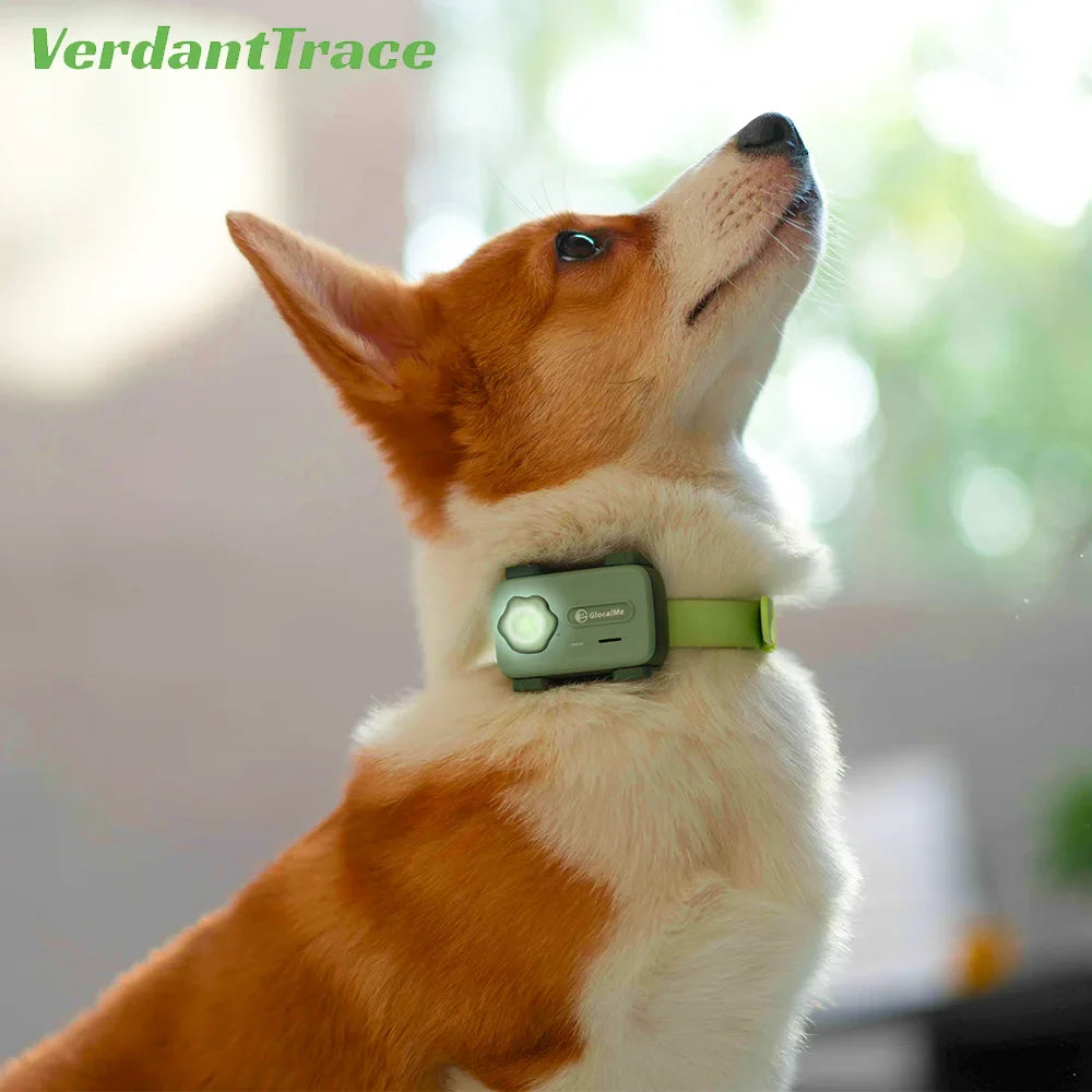 Pet Phone GPS Tracker for Pets, Phone for dogs cat