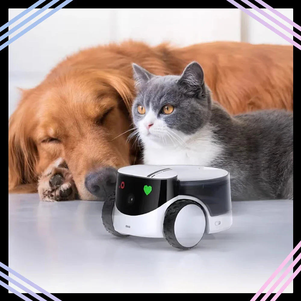 Dog or Cat Smart Companion Robot, Robot feeder for pets