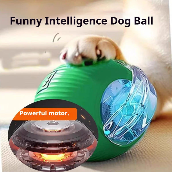 Smart Rolling Dog Ball Toy