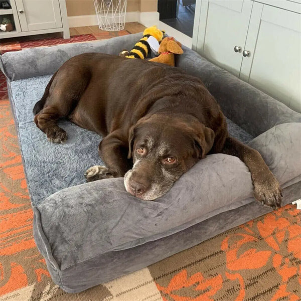 Comfy Paws Orthopedic Dog Bed