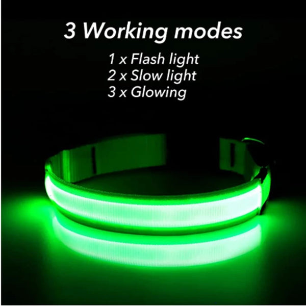 GlowSafe Pet Collar