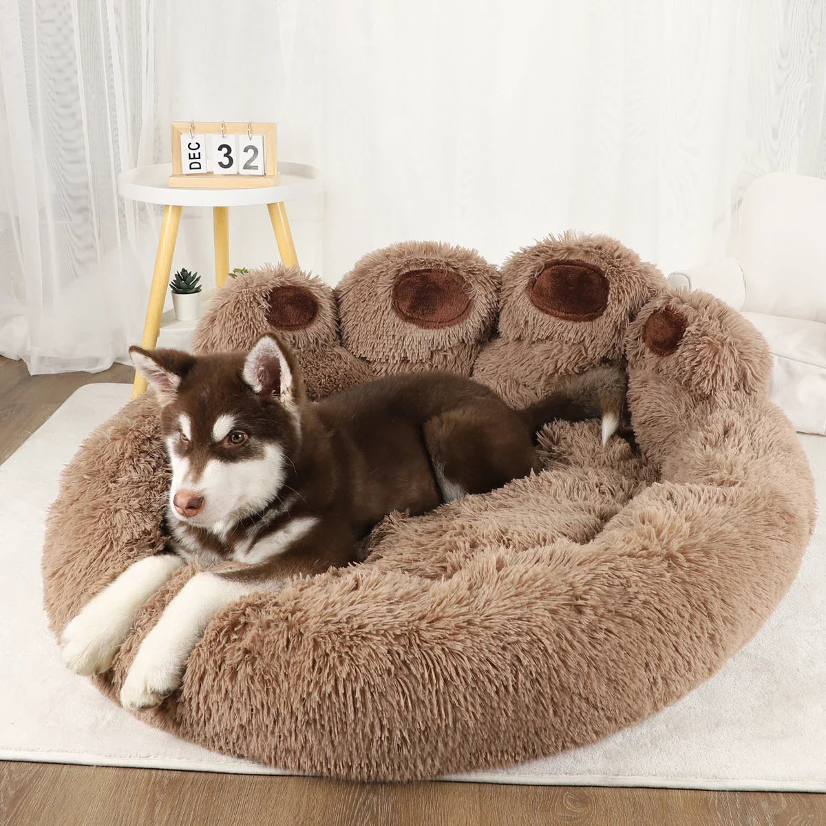 Dog or Cat Fluffy bed Cozy Paws Pet Sofa Bed